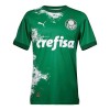 Camiseta de fútbol Palmeiras Special 2024 Verde - Hombre